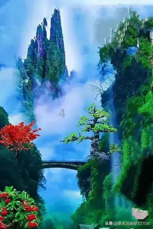 白雪用玉米真的做出了爆米花-专业知识星球,汇聚行业顶尖专家