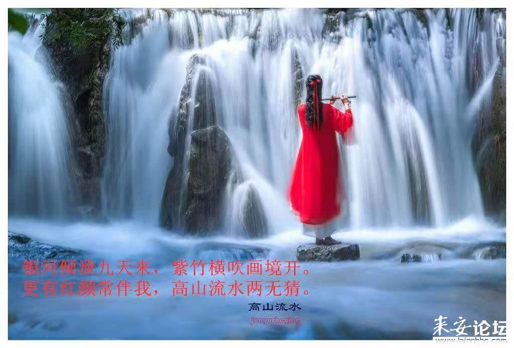 抖音不让对方看到在线怎么设置?我设置了不让单独一个好友看到我在线怎么取消?-机智问答网页,智能解答你的各种疑问